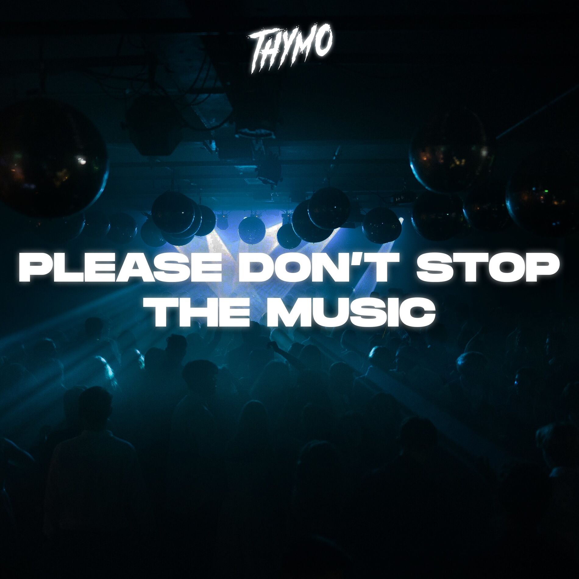 Album cover of Please Don't Stop The Music