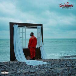 Cover of Enchanté