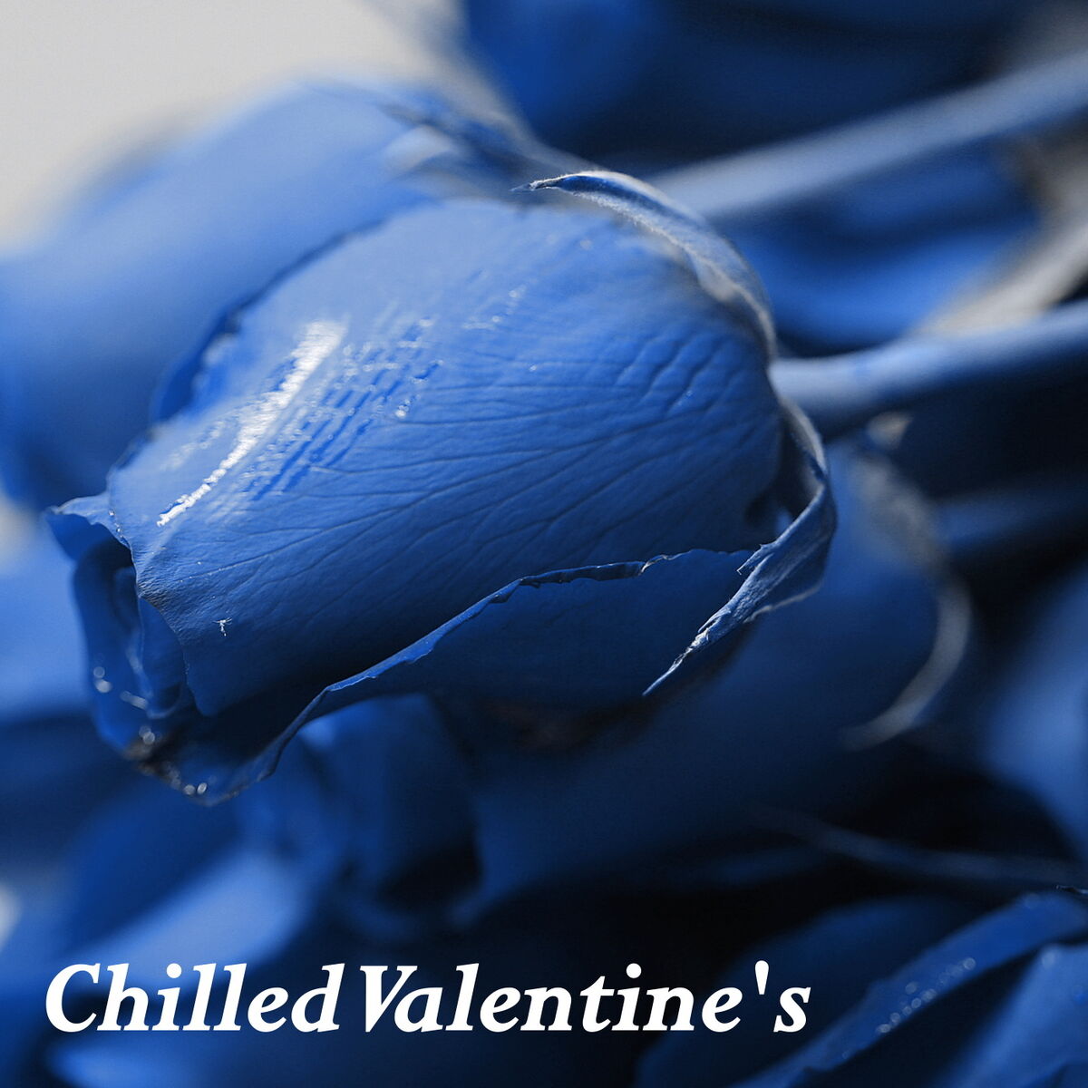 Album cover of Chilled Valentine's