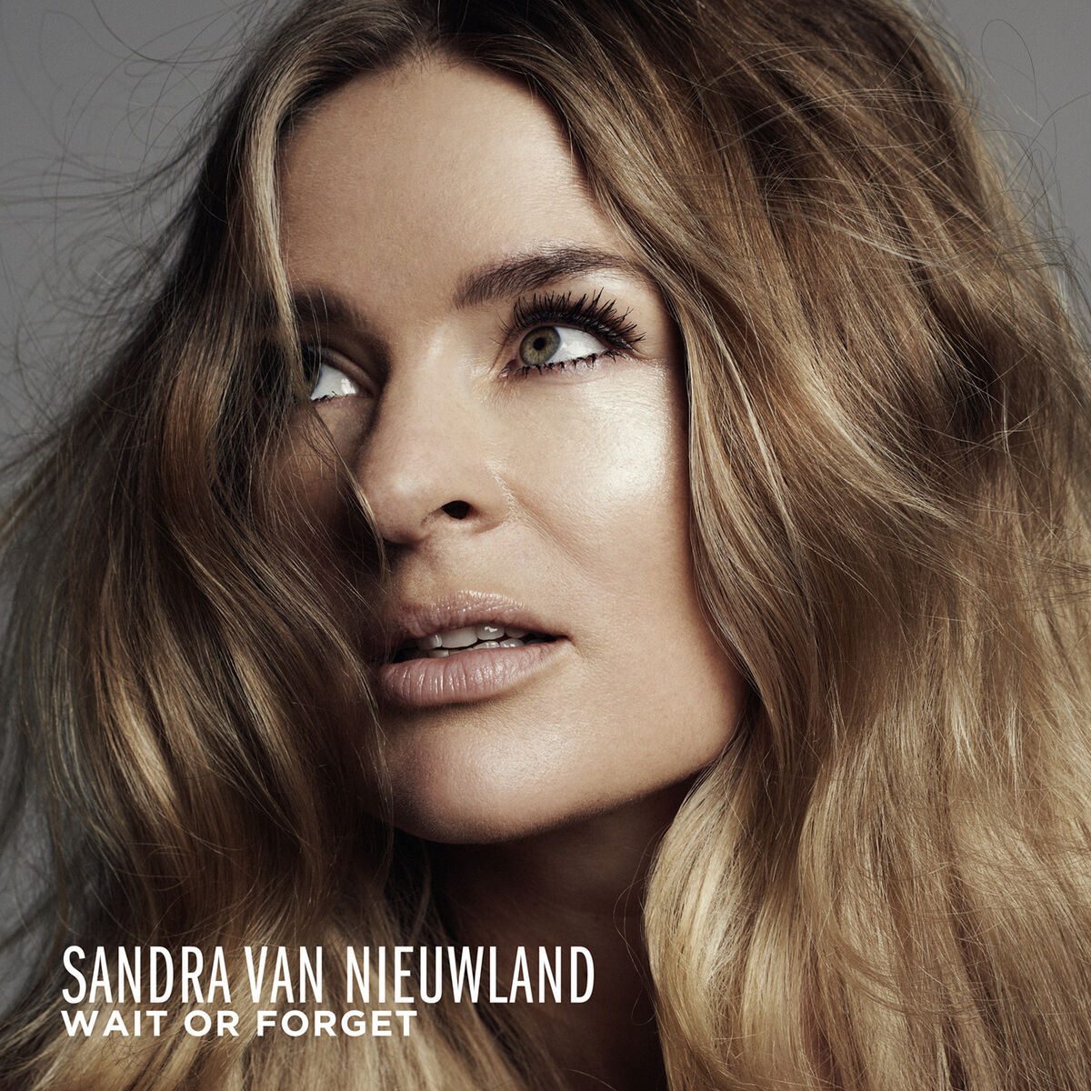 Album cover of Wait or Forget