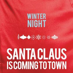 Cover of Winter Night