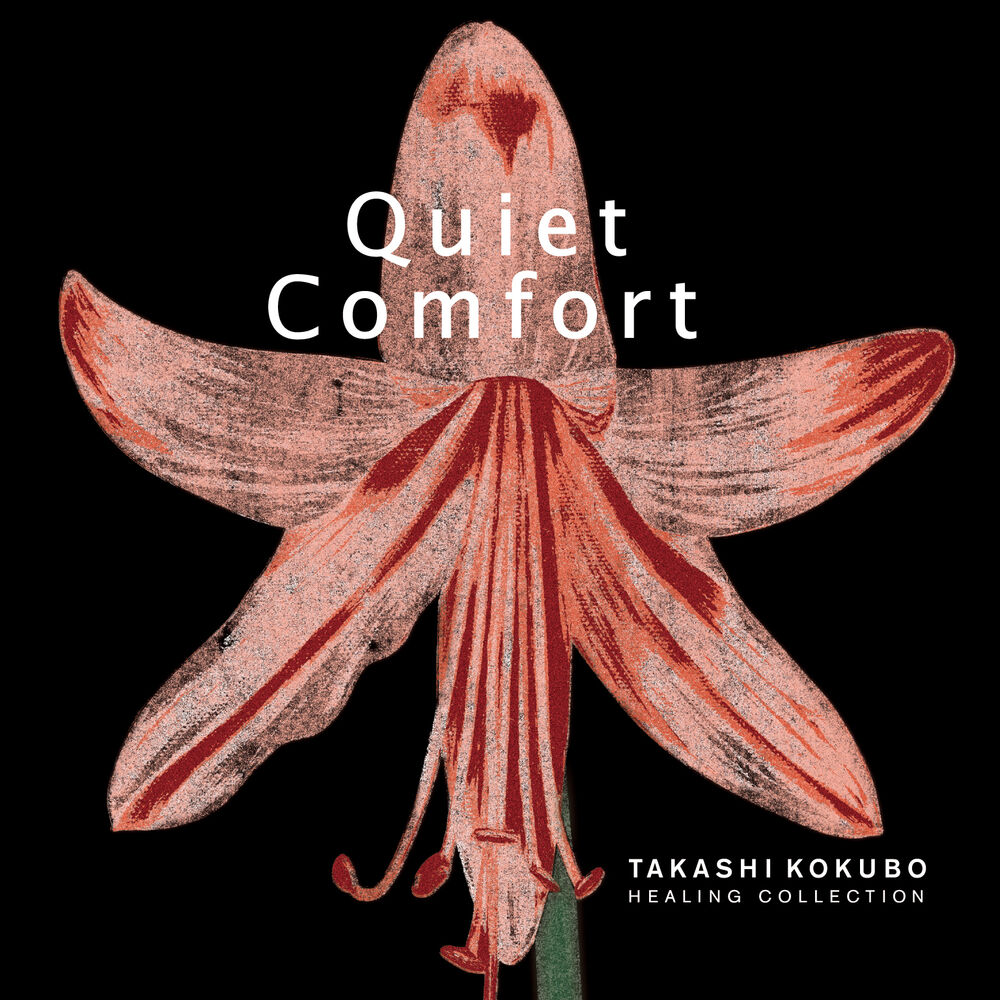 Picture of Healing Collection: Quiet Comfort
