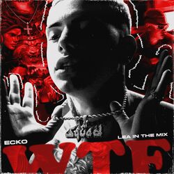 Cover of WTF
