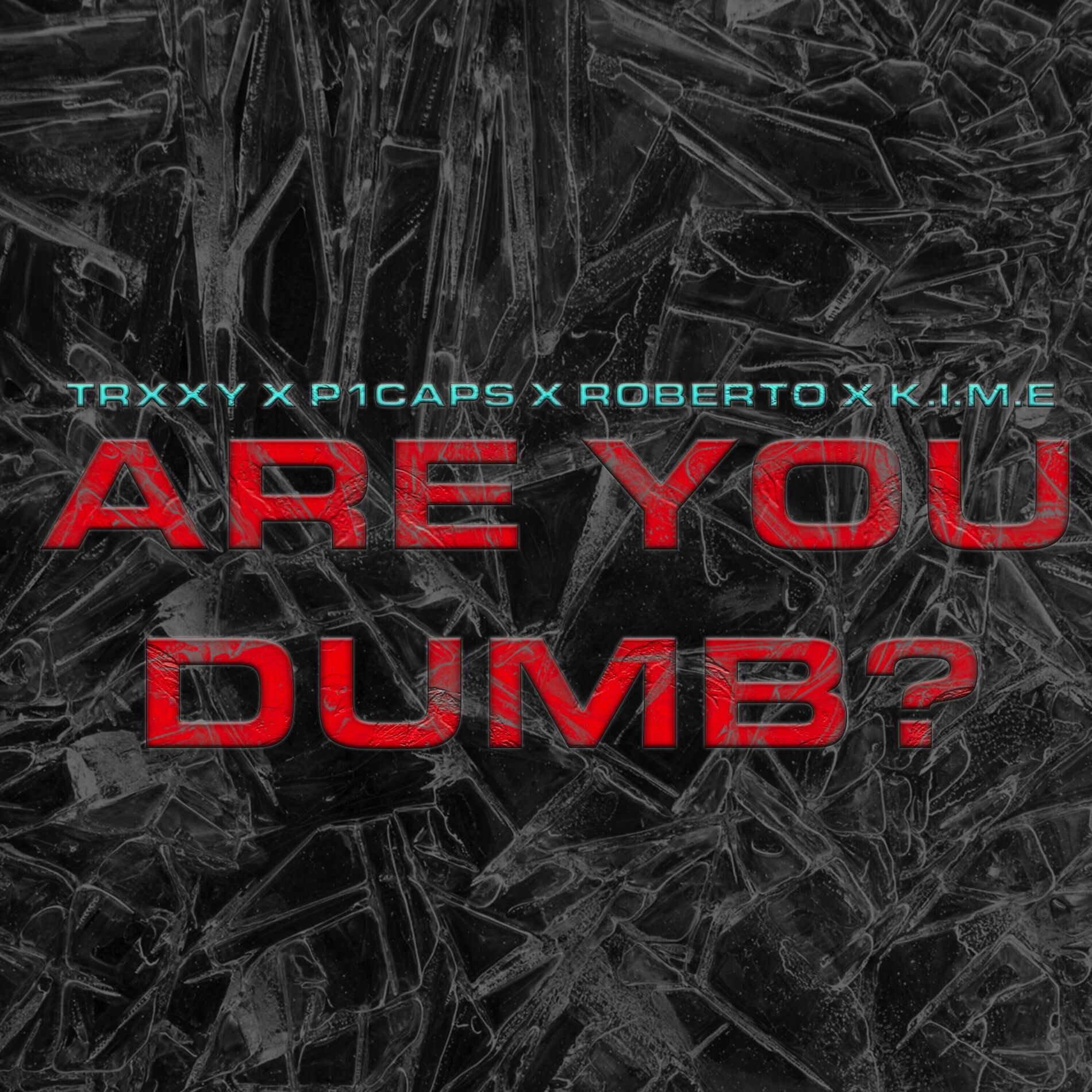 Album cover of Are You Dumb?