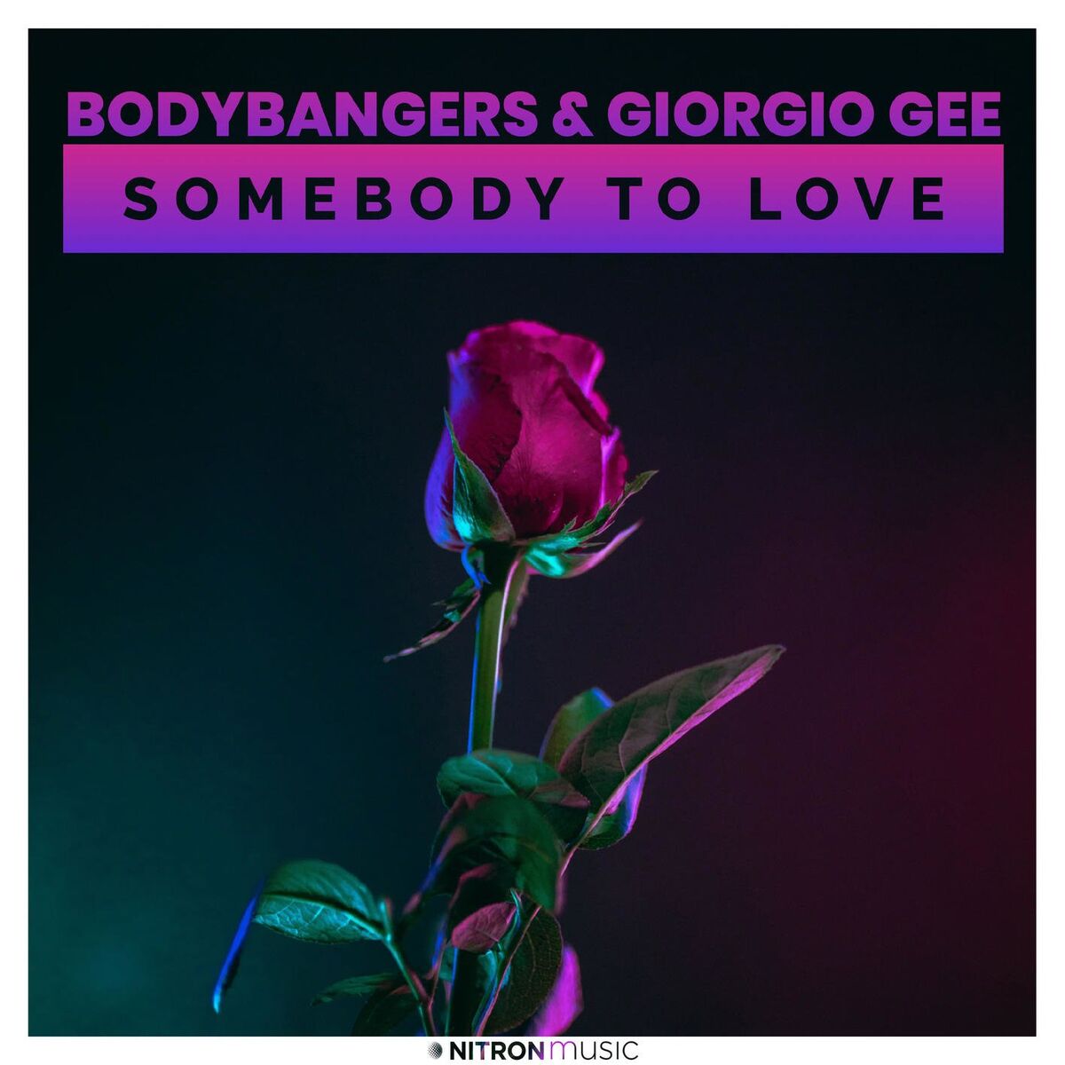 Album cover of Somebody To Love