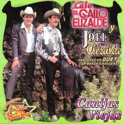 Cover of Canijas Viejas