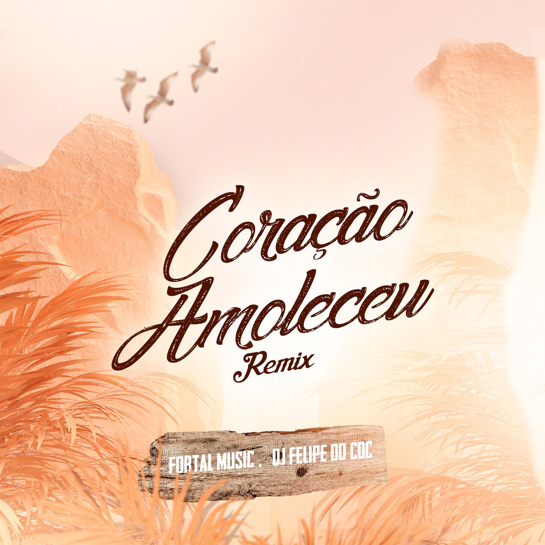 Album cover of Coração Amoleceu (Remix)