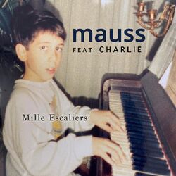 Cover of Mille escaliers