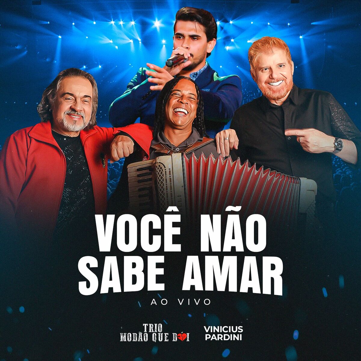 Album cover of Você Não Sabe Amar