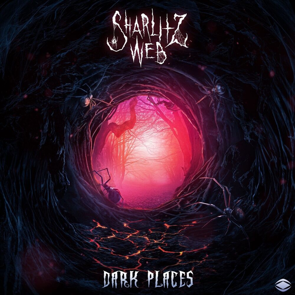 Picture of Dark Places
