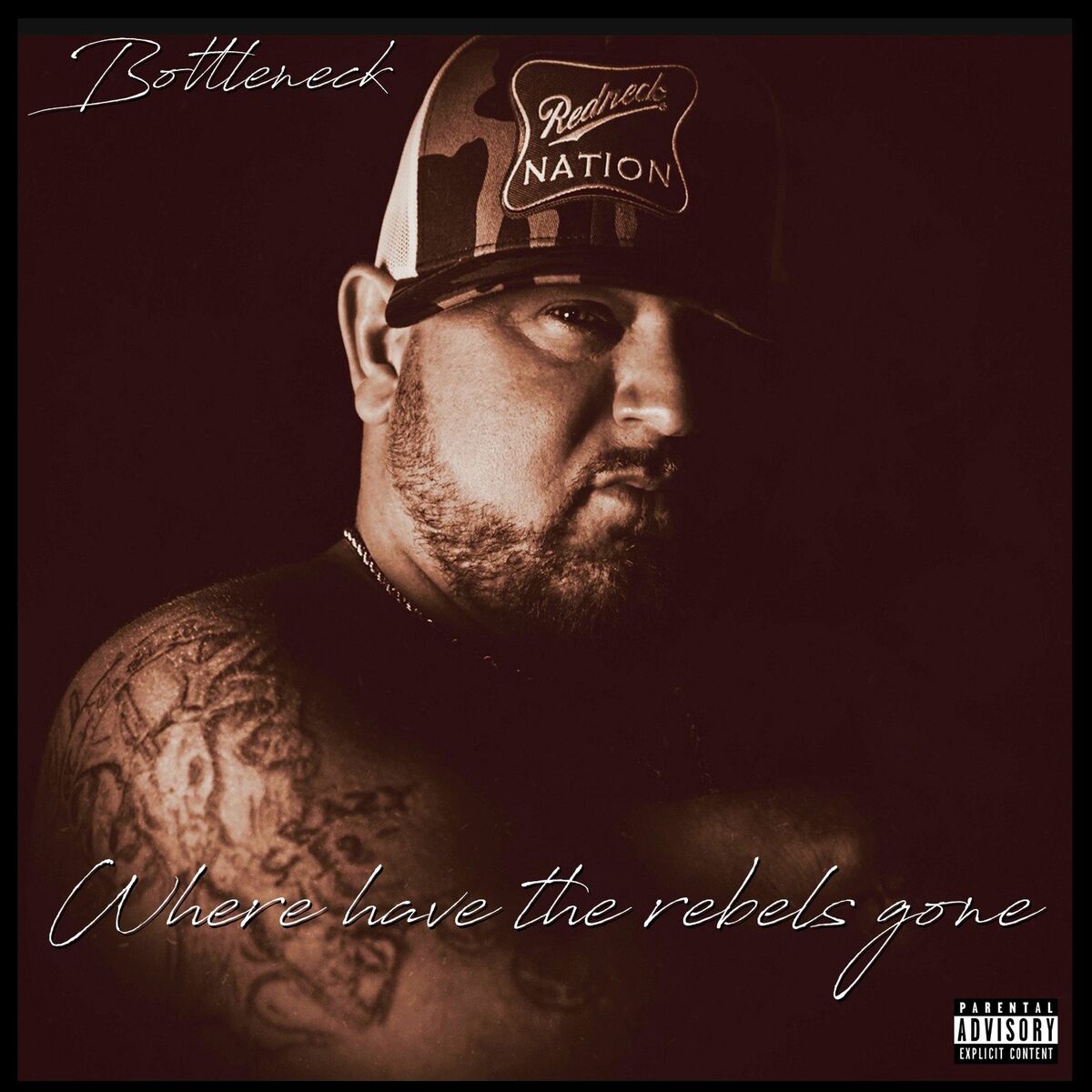 Album cover of Where Have the Rebels Gone