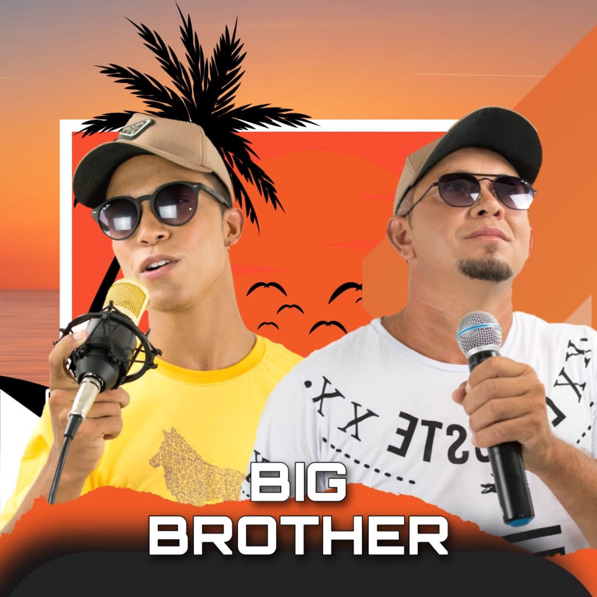 Album cover of Big Brother