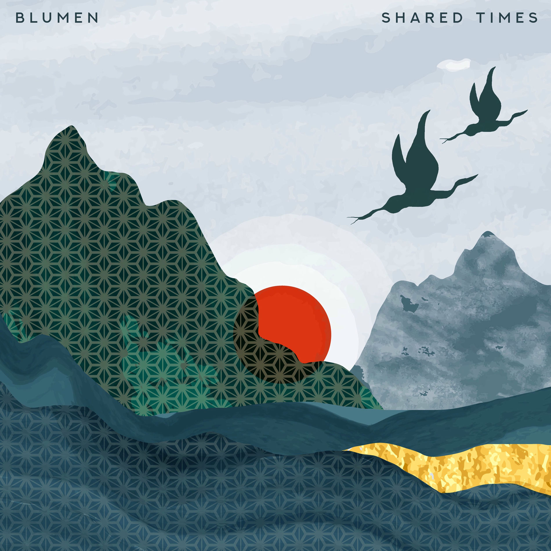 Album cover of Shared Times