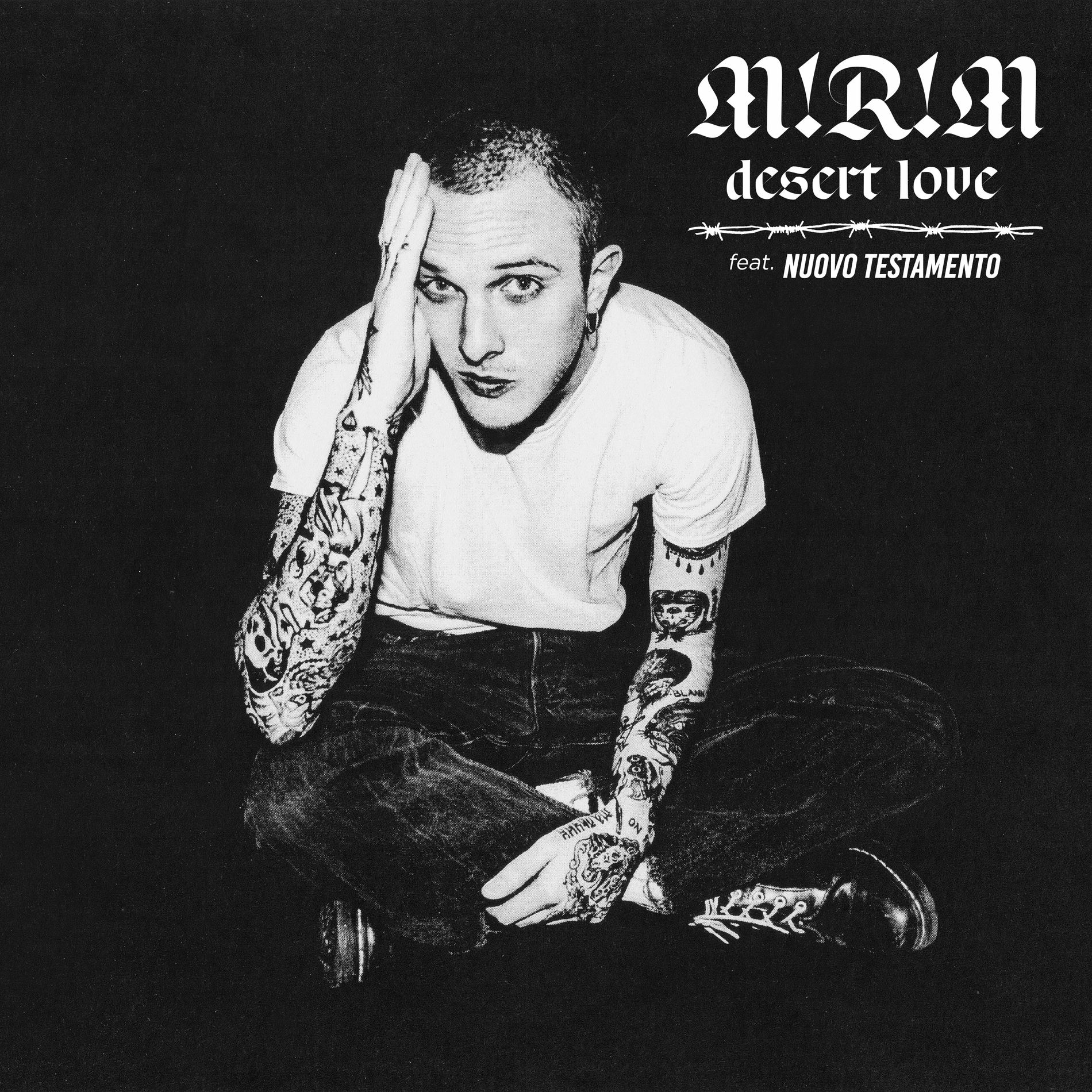 Album cover of Desert Love
