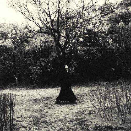 Lee Seol Ah – Beyond Words (feat. HONK) – Single