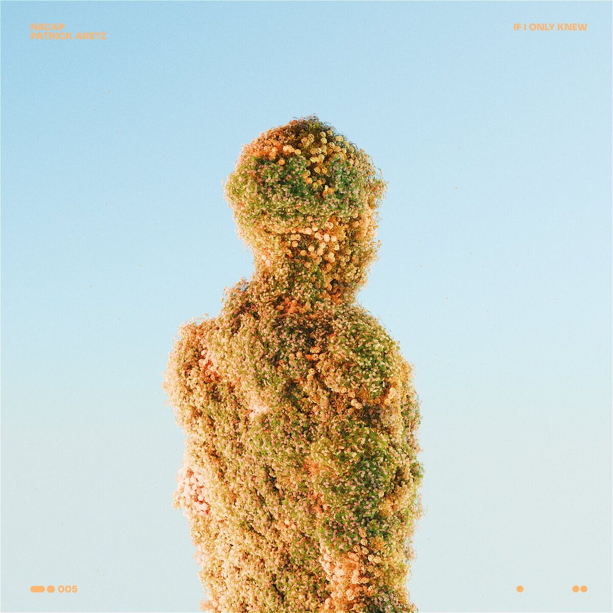 Album cover of If I Only Knew