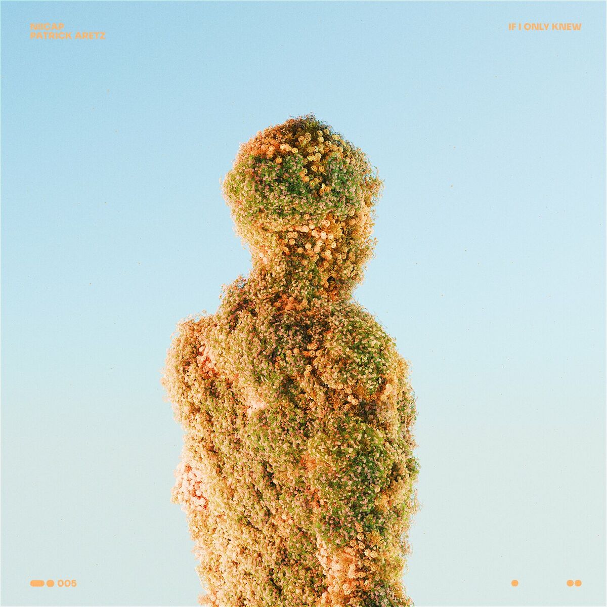 Album cover of If I Only Knew