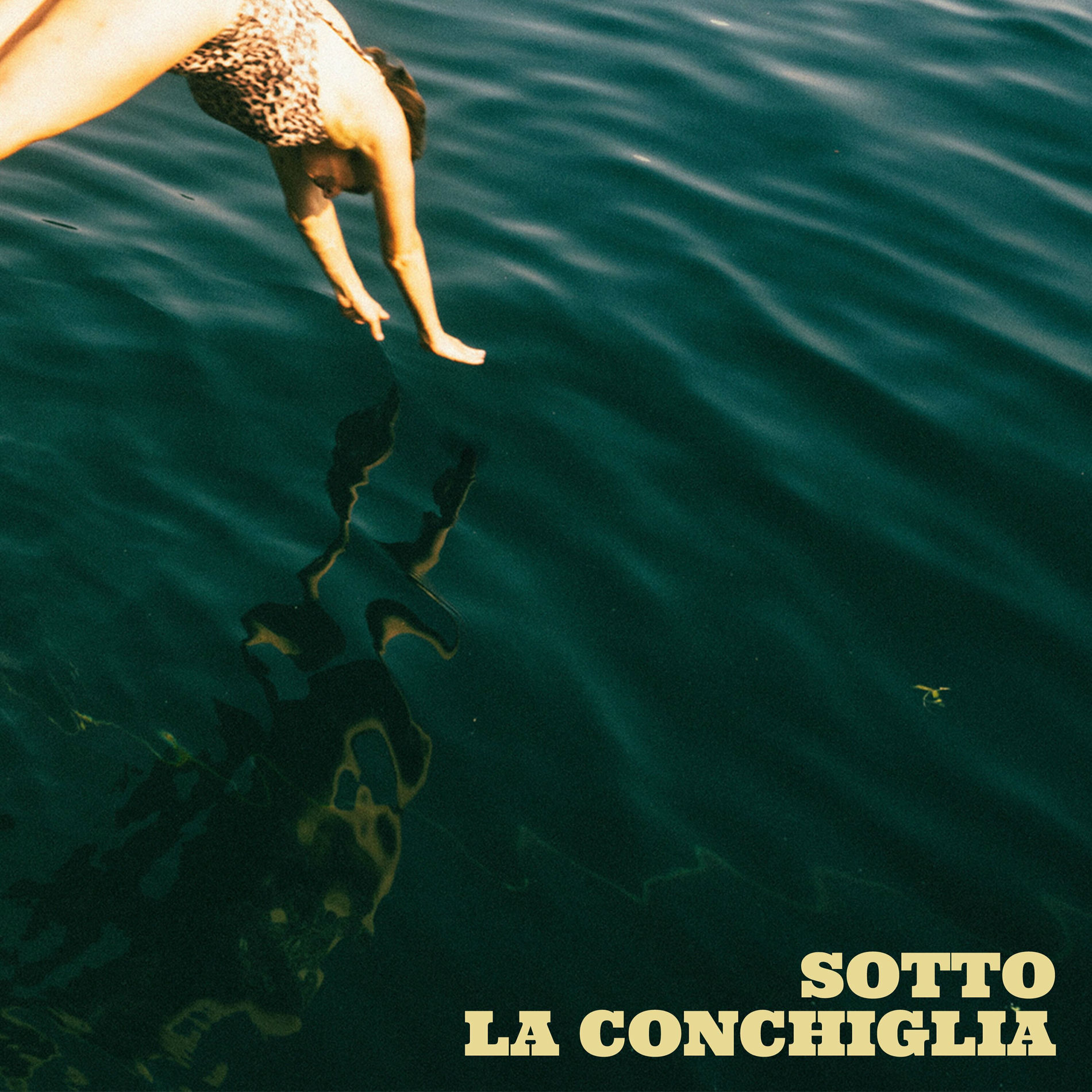 Album cover of Sotto la Conchiglia