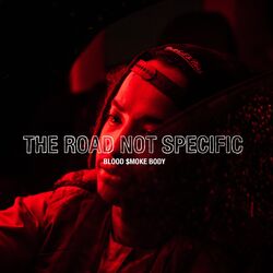 Cover of The Road Not Specific