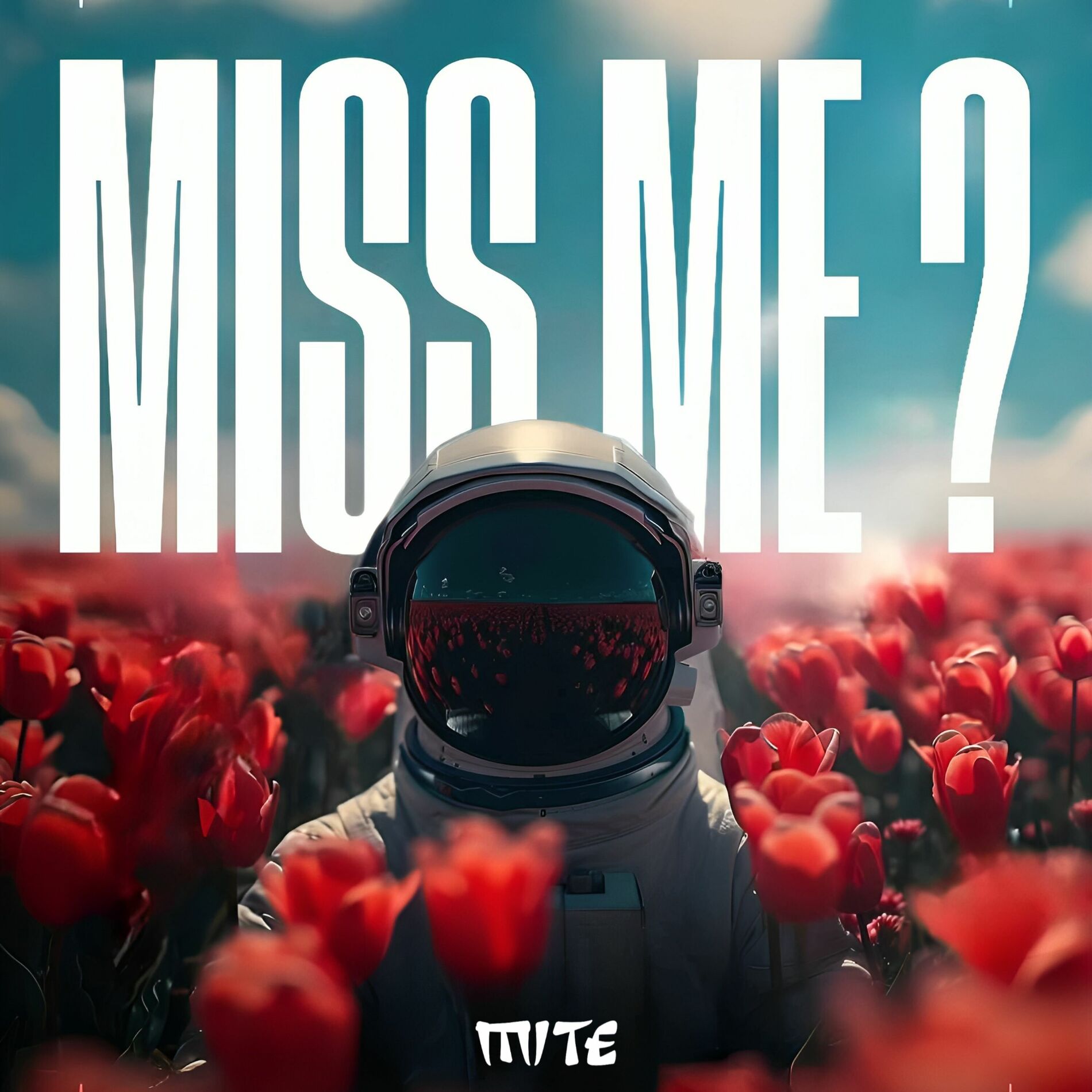 Album cover of Miss Me ?