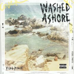 Cover of WASHED ASHORE