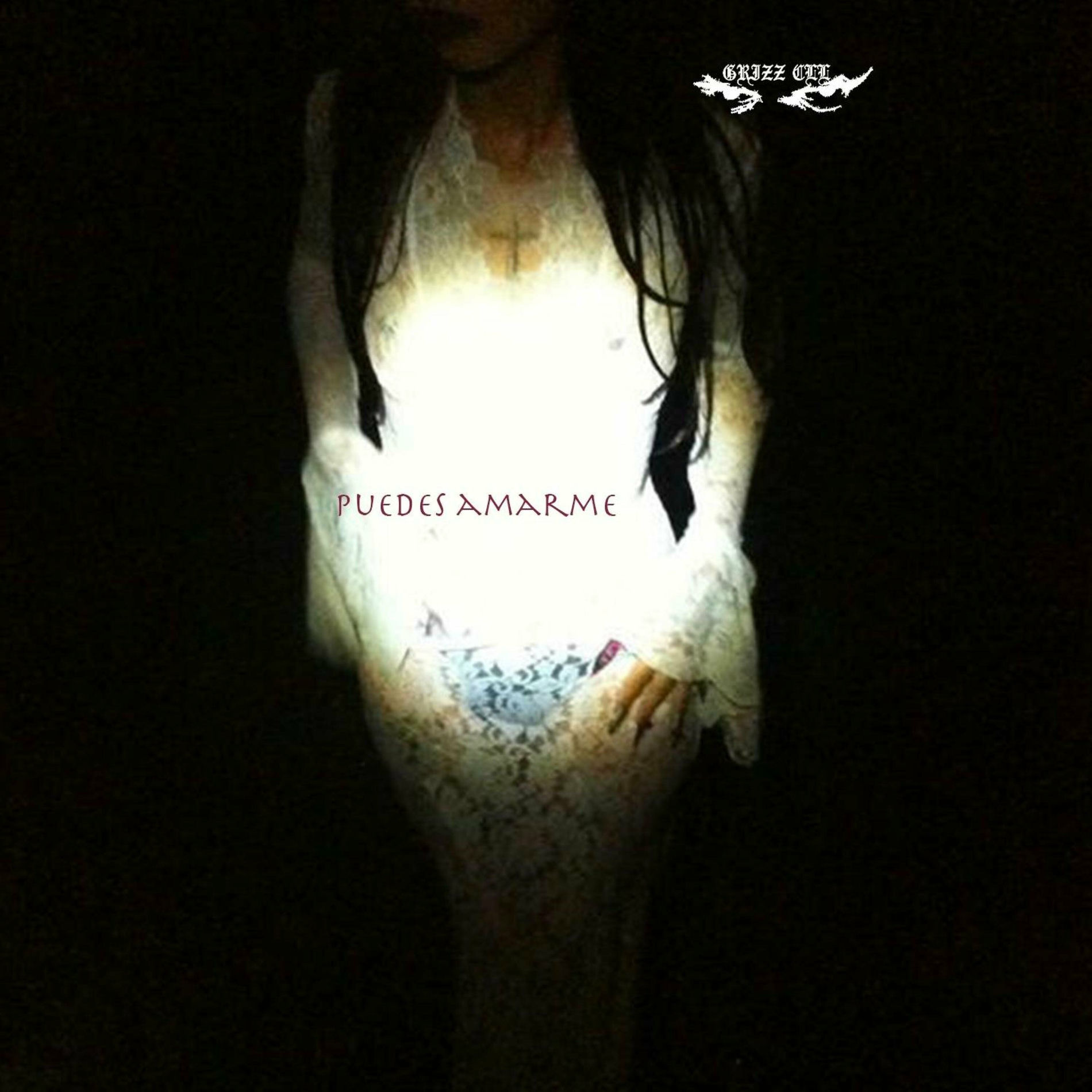 Album cover of Puedes Amarme