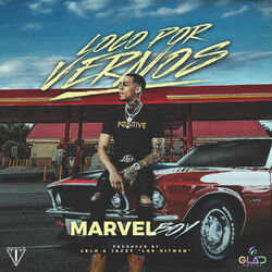 Cover of Loco por Vernos