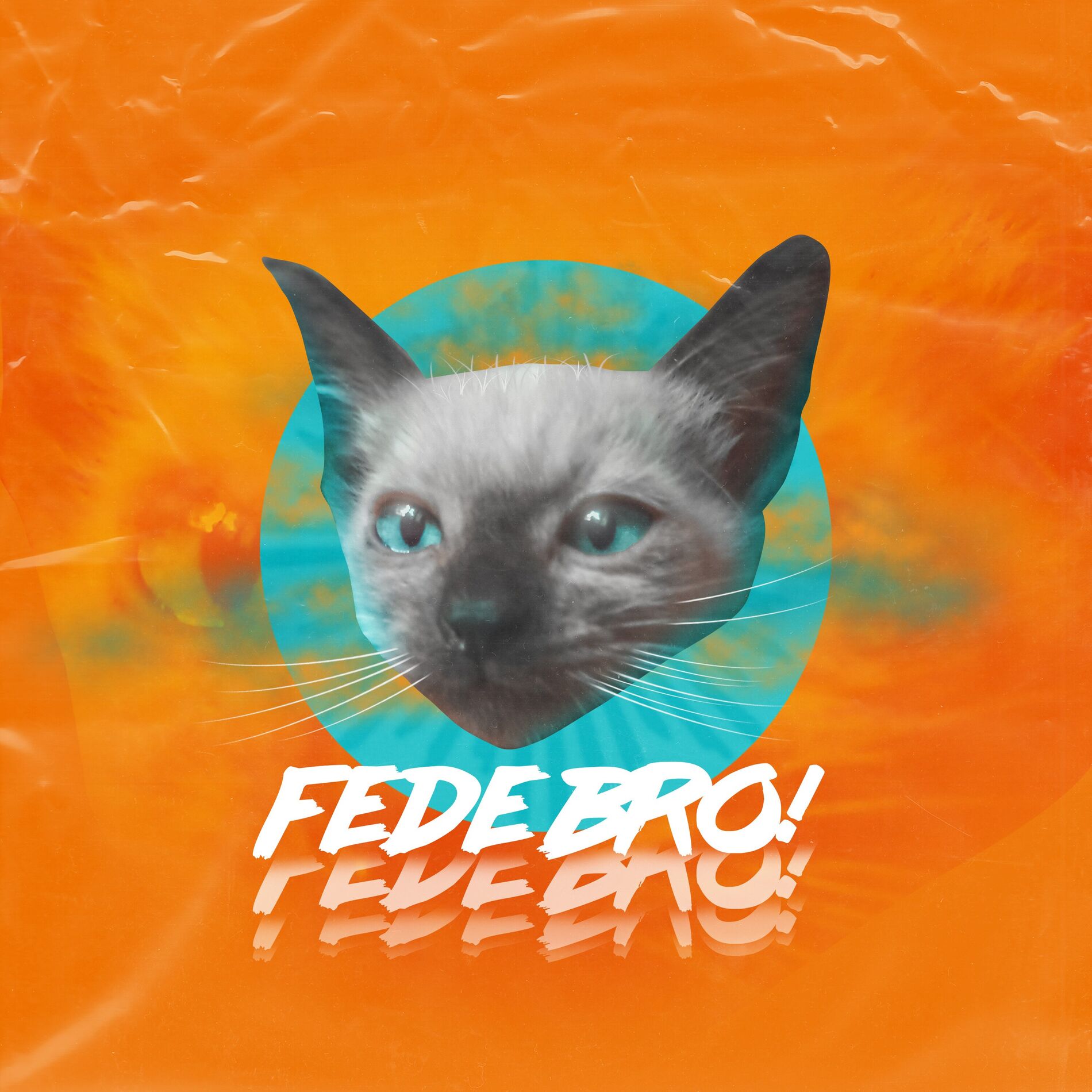 Album cover of Gato