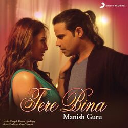 Cover of Tere Bina