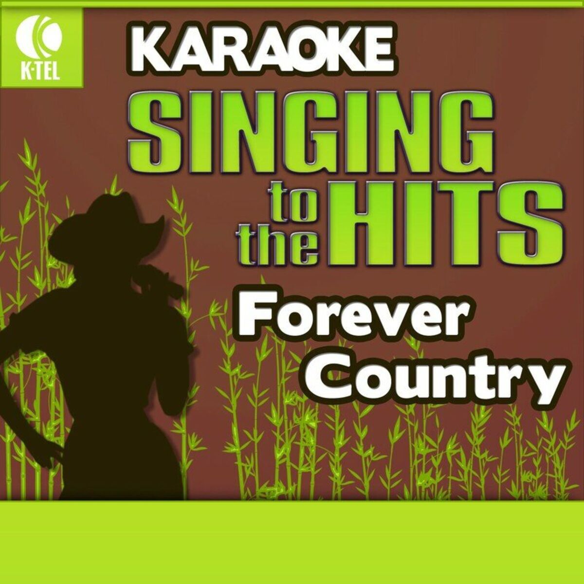 Album cover of Karaoke: Forever Country - Singing to the Hits