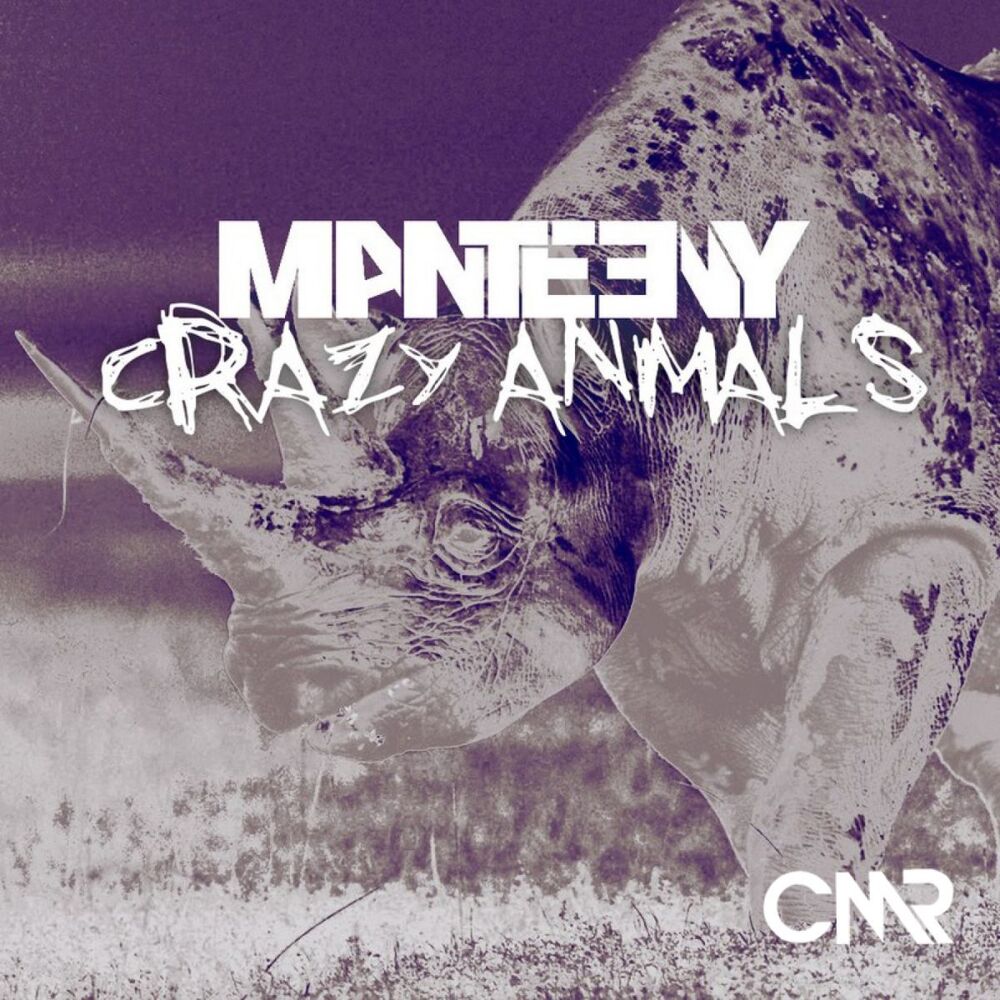 Picture of Crazy Animals