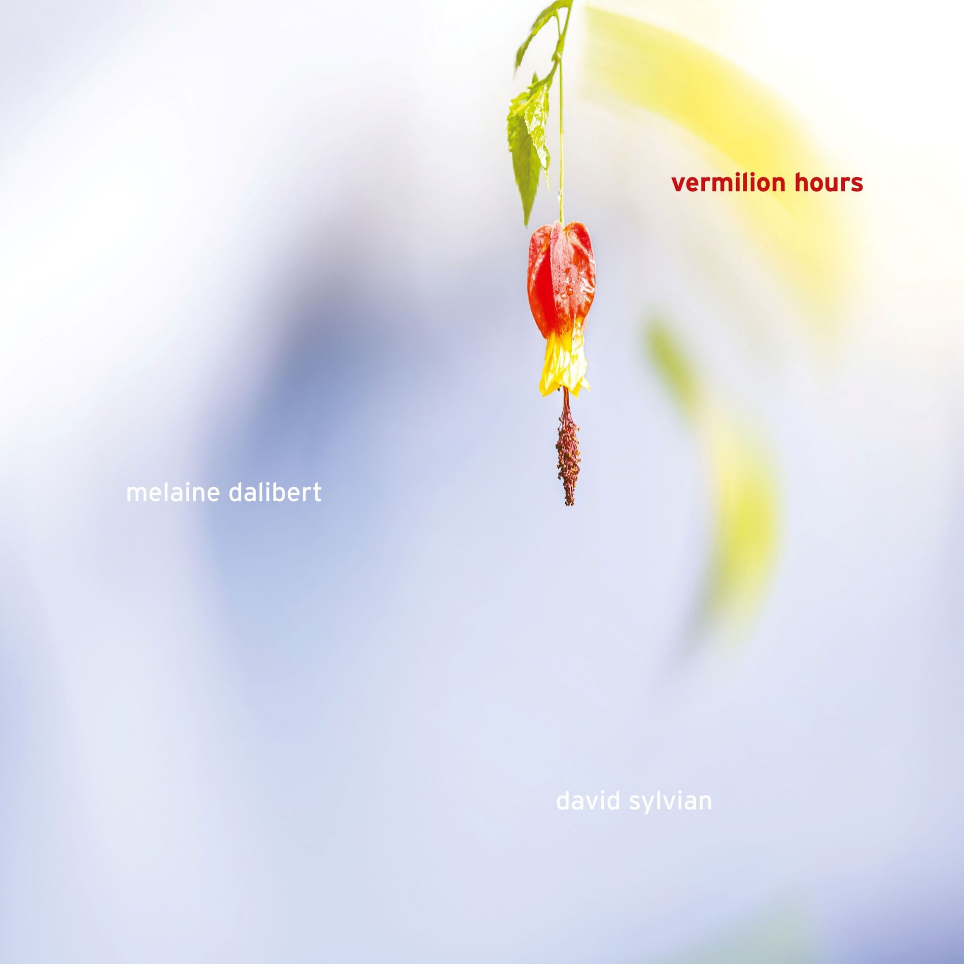 Album cover of Musique pour le lever du jour (Short Version)