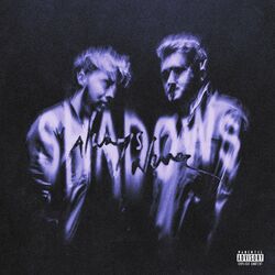 Cover of Shadows in My Home