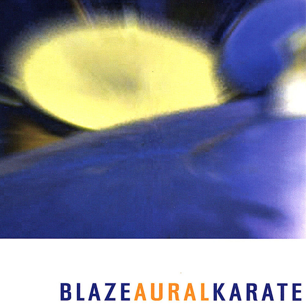Picture of Aural Karate