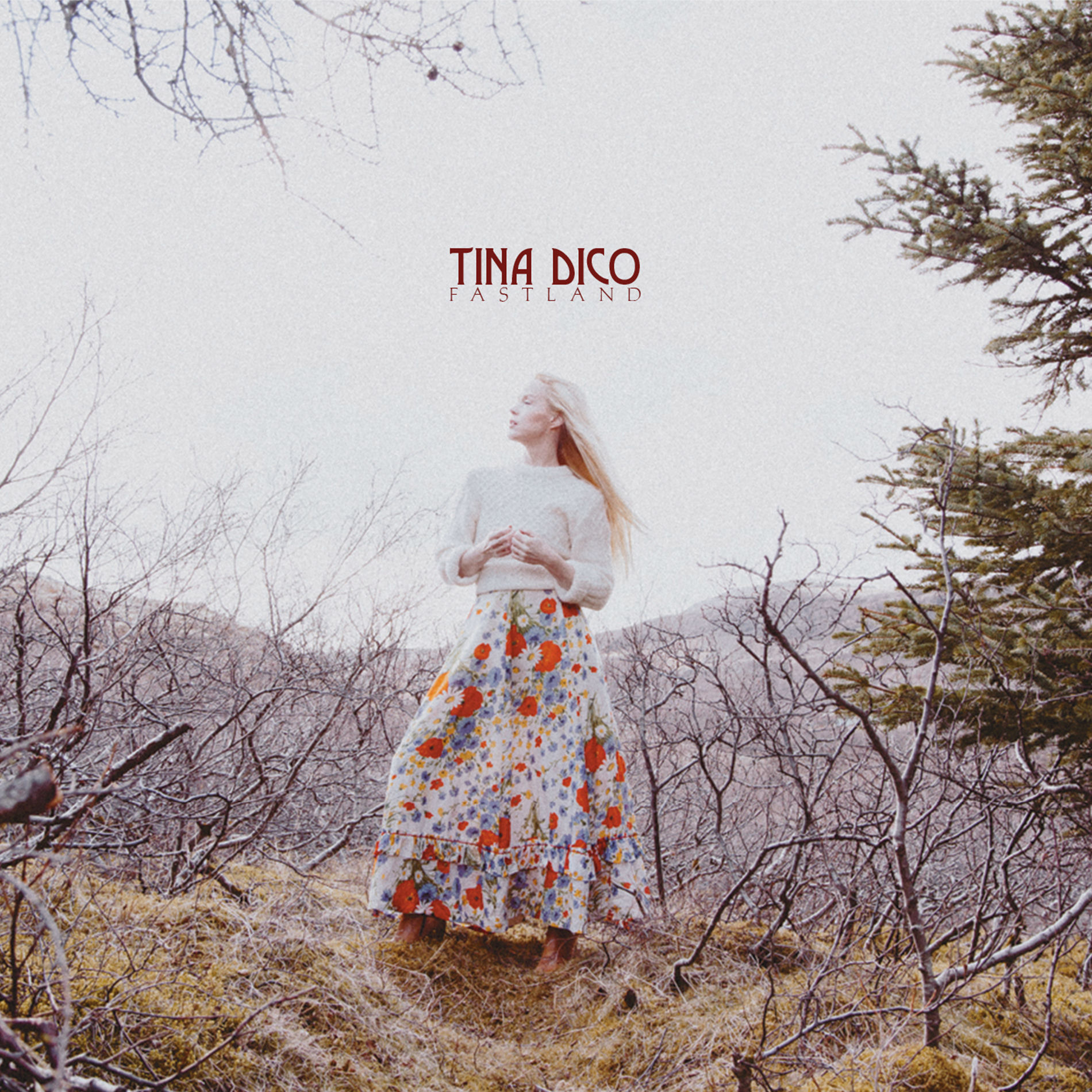 Album cover of Something You Can Keep