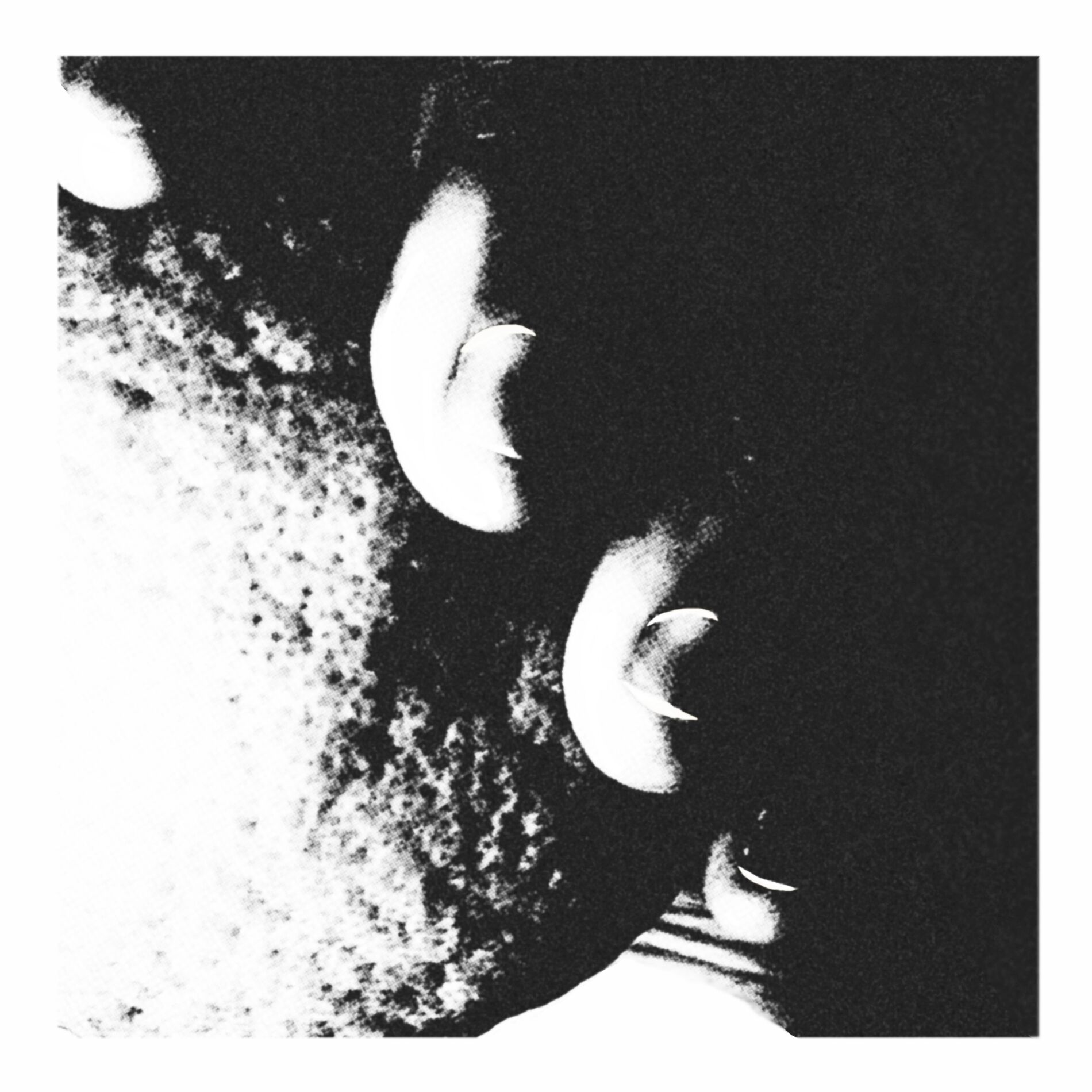 Album cover of まだ早い果物