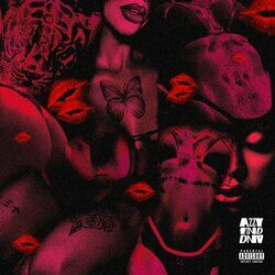 Cover of FZND DNV