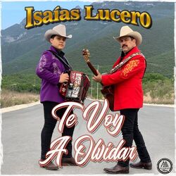 Cover of Te Voy A Olvidar