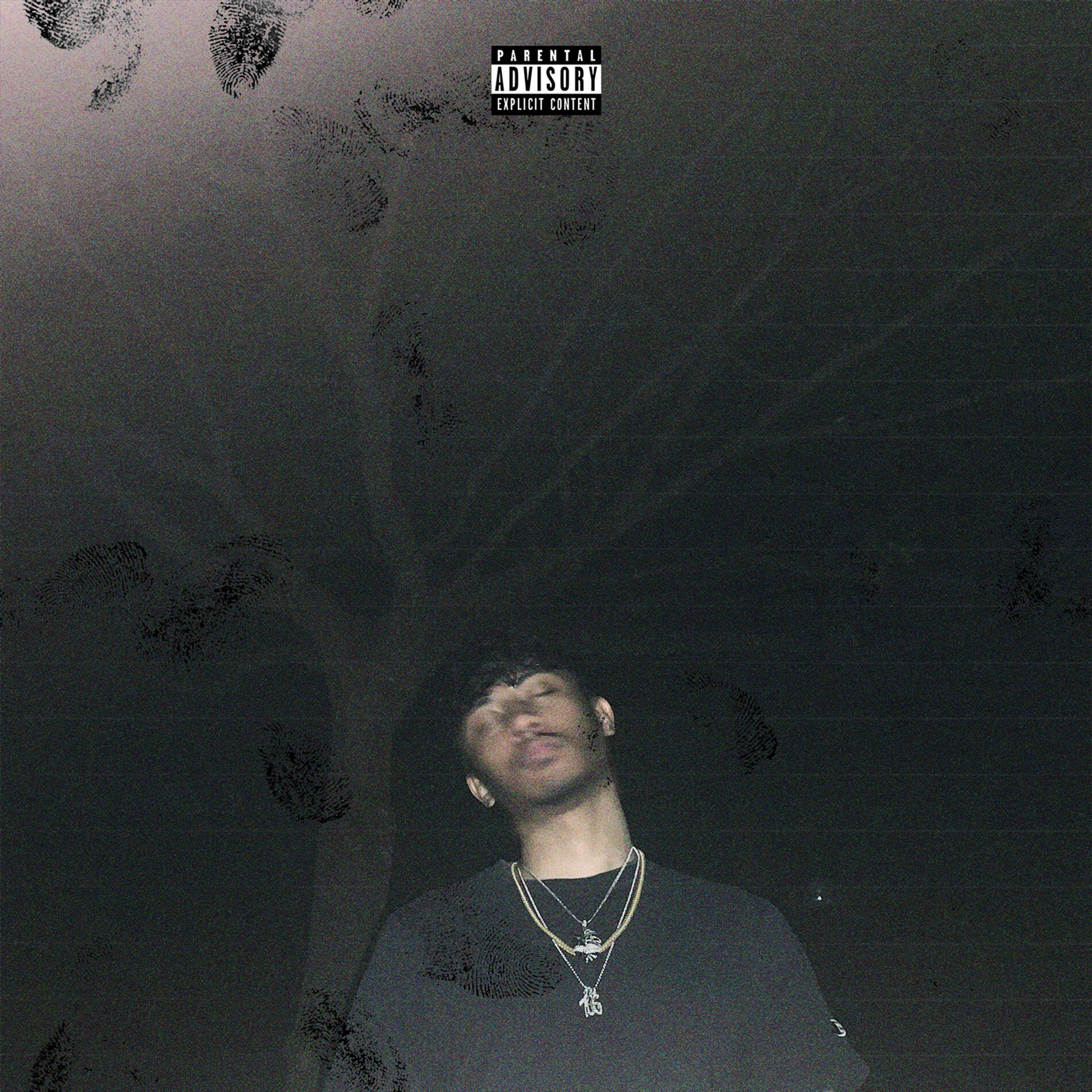 Album cover of In the Night