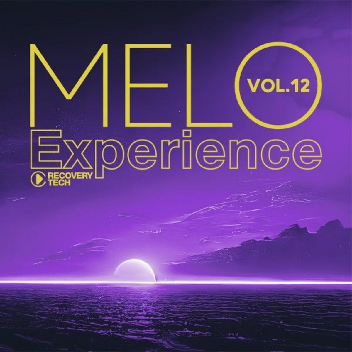 Album cover of Melo Experience, Vol. 12