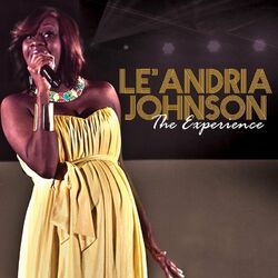 Cover of The Experience