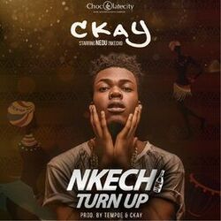 Cover of Nkechi Turn Up
