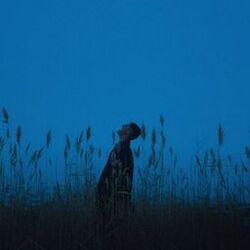 Cover of this feeling