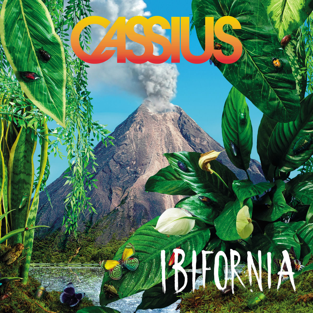 Album cover of Action