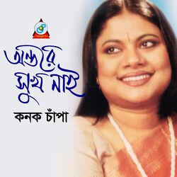 Cover of Antore Sukh Nai