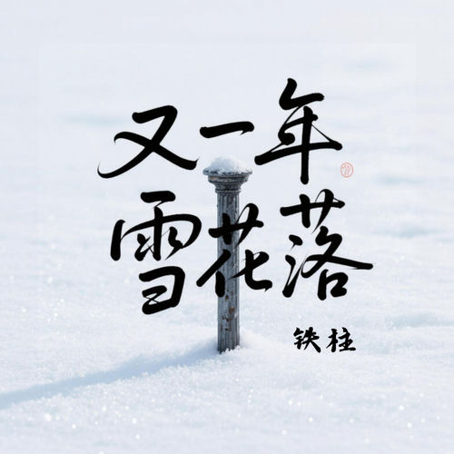 又一年雪花落