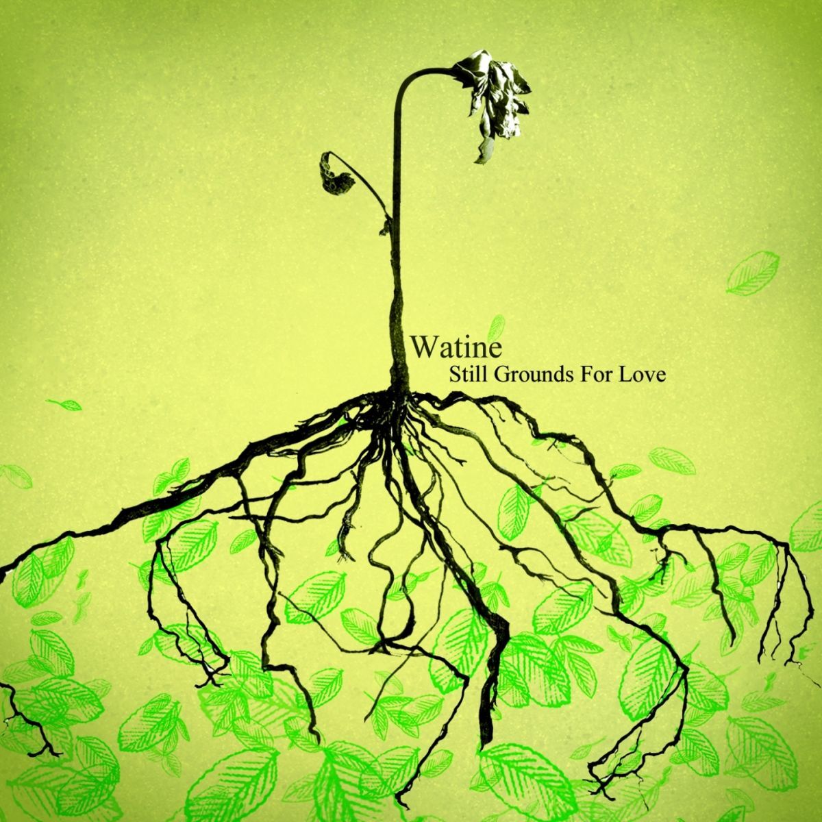Album cover of Books and Lovers