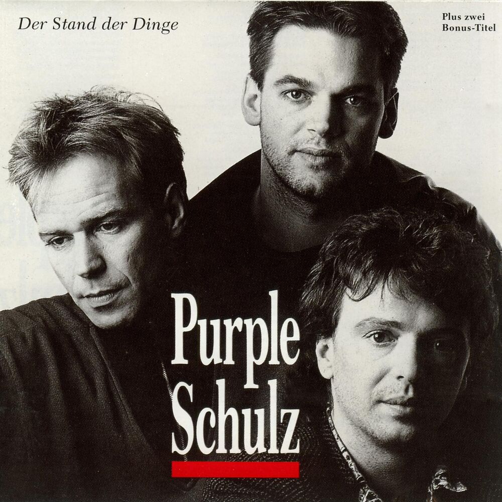 Picture of Der Stand Der Dinge