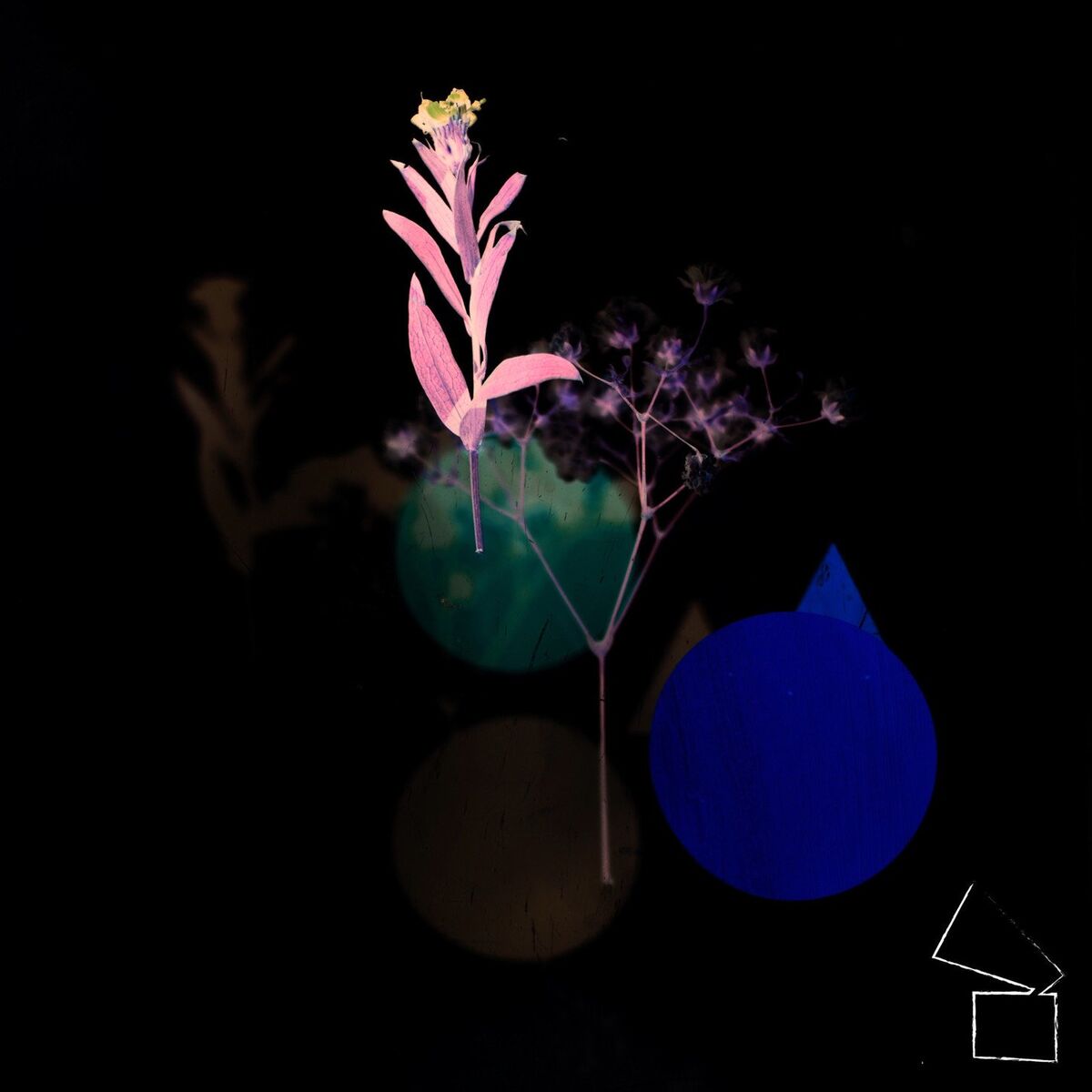 Album cover of Friday Session, Vol. 2