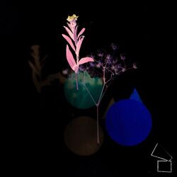 Cover of Friday Session, Vol. 2